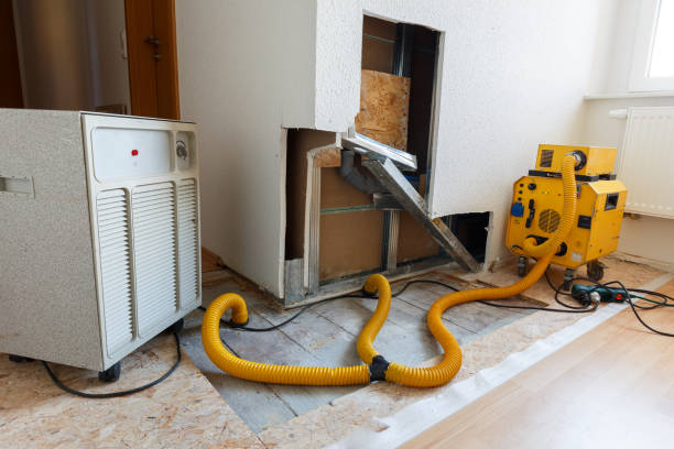 Mold Removal for HVAC Installations in La Paloma, TX